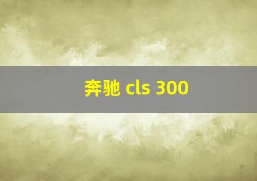 奔驰 cls 300